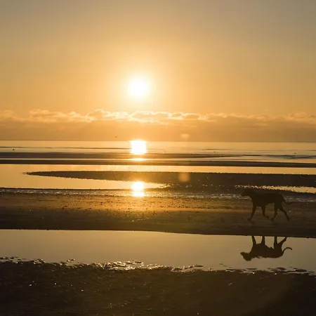 Apartman Haus-trischen-whg-02